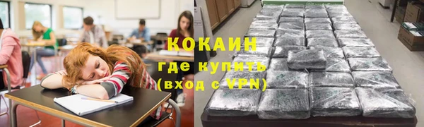 соль ск Абаза