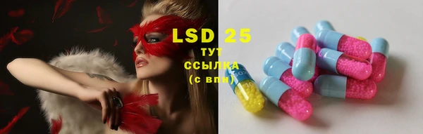 spice Алзамай