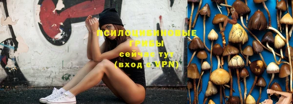 spice Алзамай